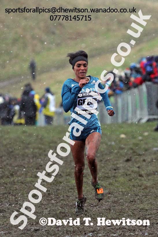 Womens 6k, Morrisons Great Edinburgh Cross Country. Photo: David T. Hewitson/Sports for All Pics